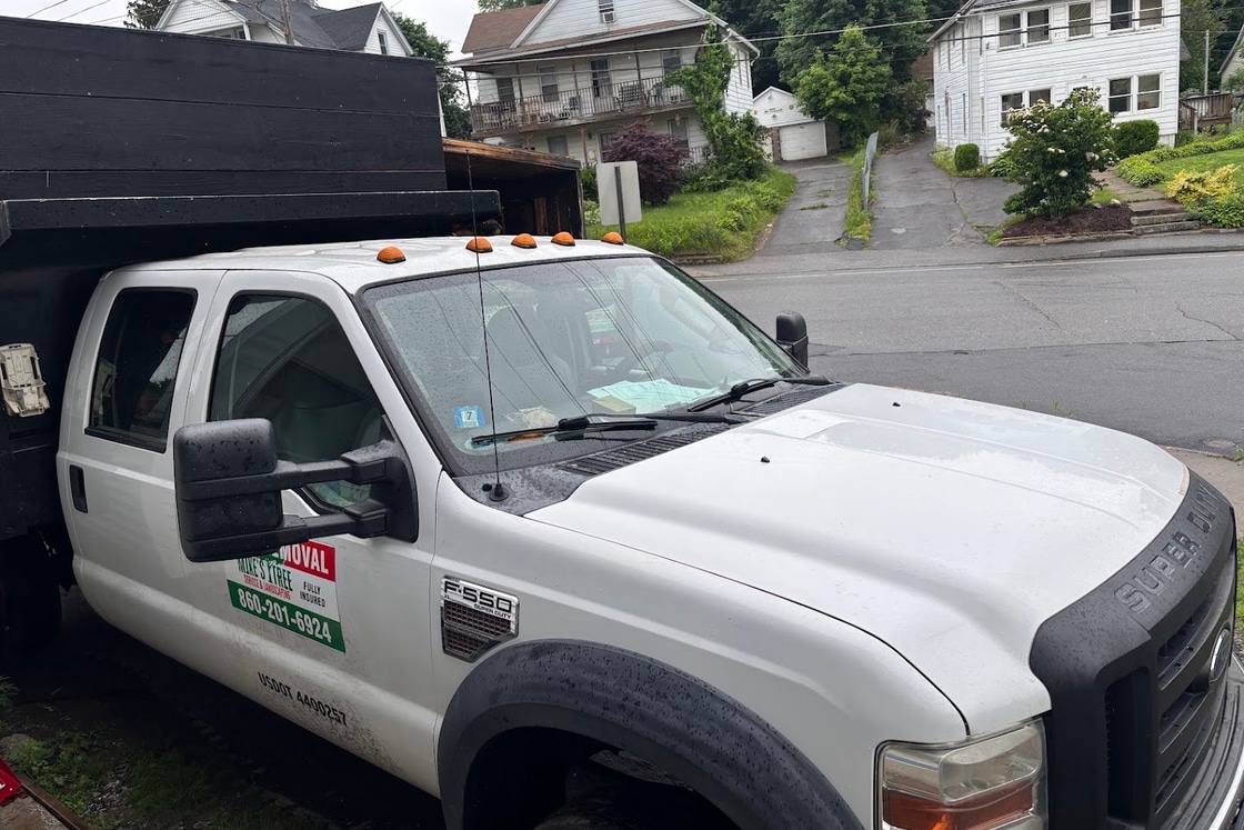 Mike's Tree Service F-550 dump truck parked at a residential job