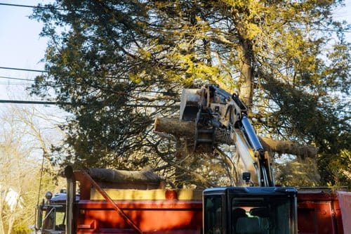 Tree service crew lifting a cut log with a grapple truck in Torrington, Connecticut