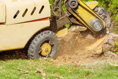 Stump grinder cutting a tree stump below ground level in a Harwinton, Connecticut backyard