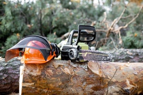 Professional chainsaw and safety helmet resting on a felled log during a tree removal in Torrington, Connecticut