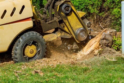 Stump grinder working through a tree stump on a completed Connecticut tree service job